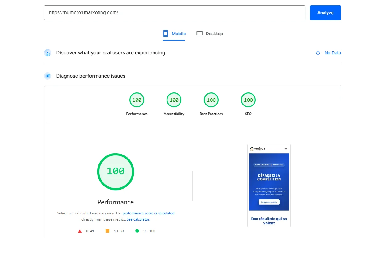 Exemple d'un test PageSpeed Insights pour numero1marketing.com